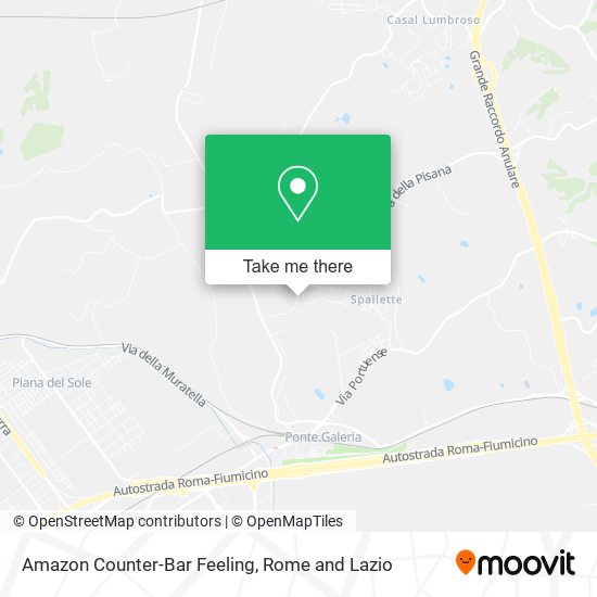 Amazon Counter-Bar Feeling map