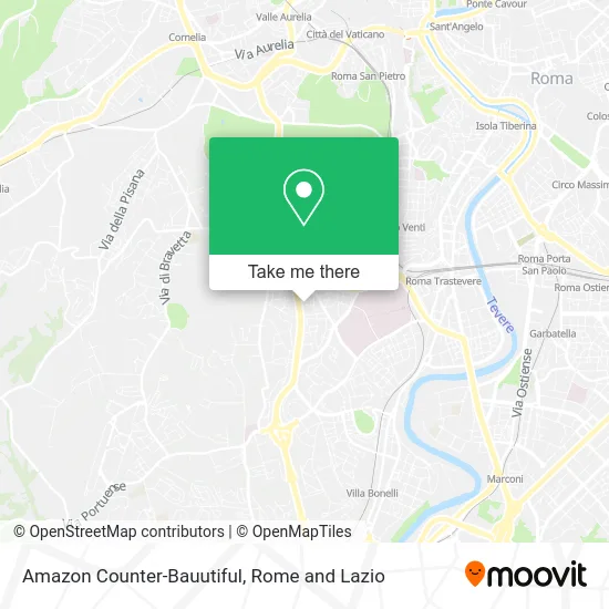 Amazon Counter-Bauutiful map