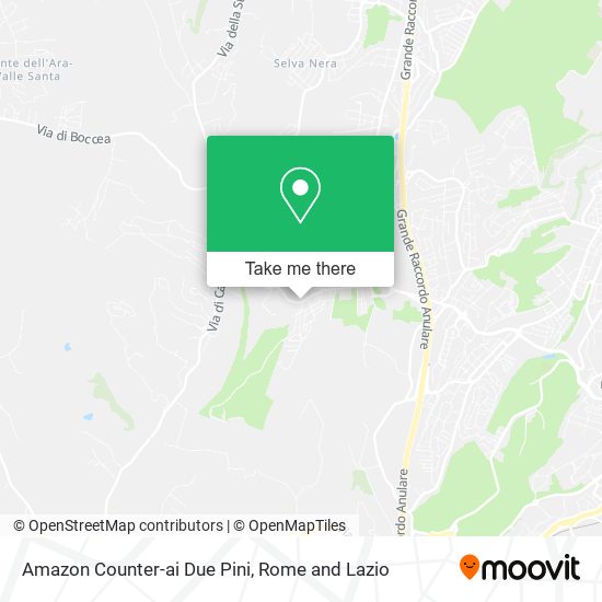 Amazon Counter-ai Due Pini map