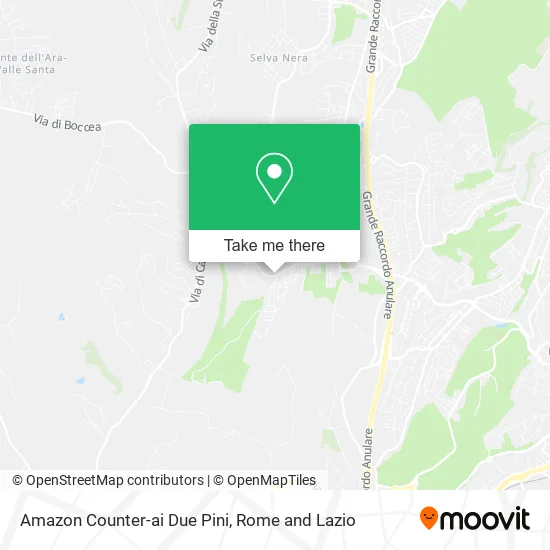 Amazon Counter-At Two Pines map