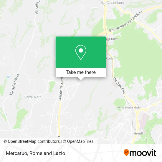 Mercatuo map