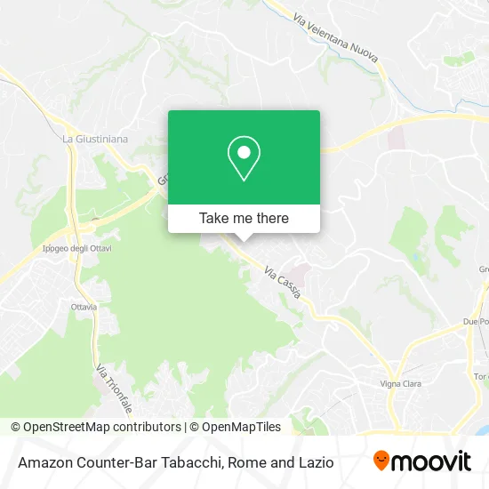 Amazon Counter-Bar Tabacchi map