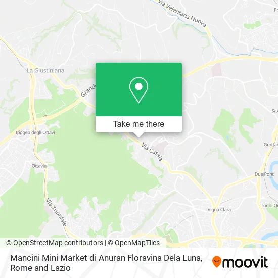 Mancini Mini Market di Anuran Floravina Dela Luna map