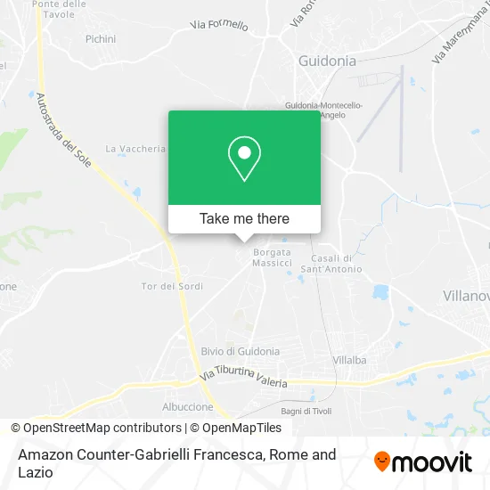 Amazon Counter-Gabrielli Francesca map