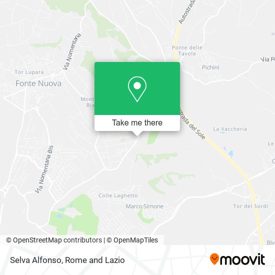Selva Alfonso map