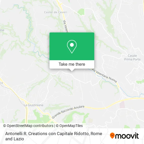 Antonelli R. Creations with Reduced Capital map