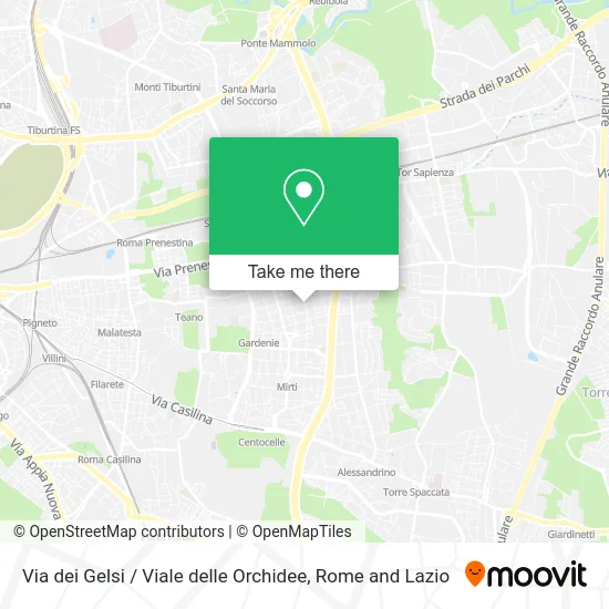 Mulberry Street / Orchid Avenue map