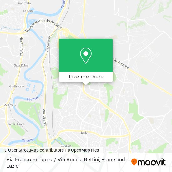 Via Franco Enriquez / Via Amalia Bettini map