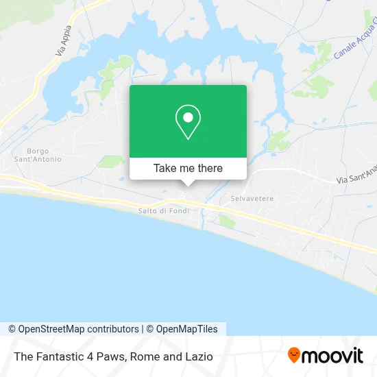 The Fantastic 4 Paws map