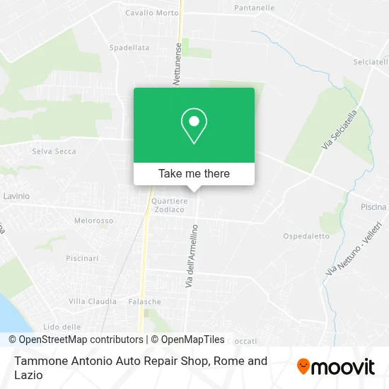 Tammone Antonio Auto Repair Shop map