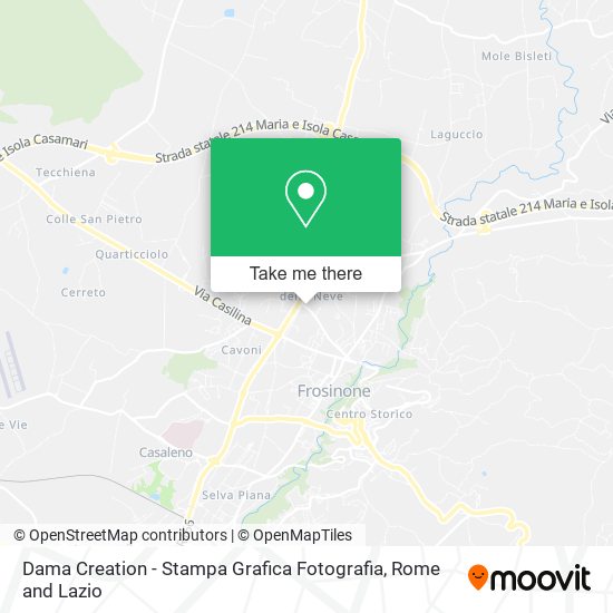 Dama Creation - Stampa Grafica Fotografia map