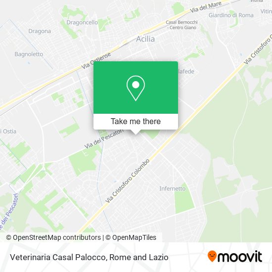 Veterinaria Casal Palocco map