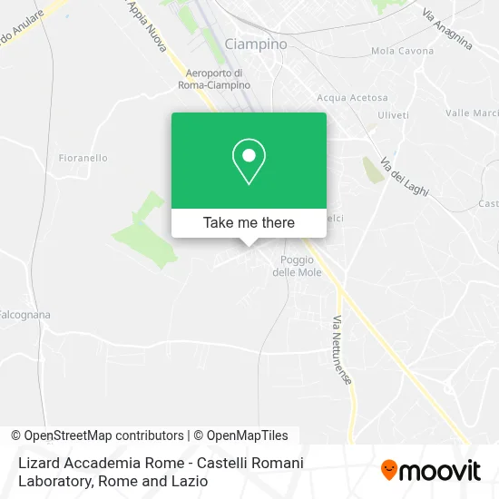 Lizard Accademia Rome - Castelli Romani Laboratory map