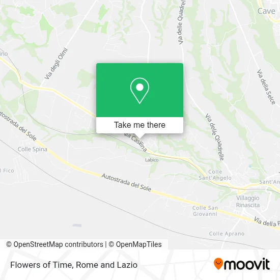 Flowers of Time map