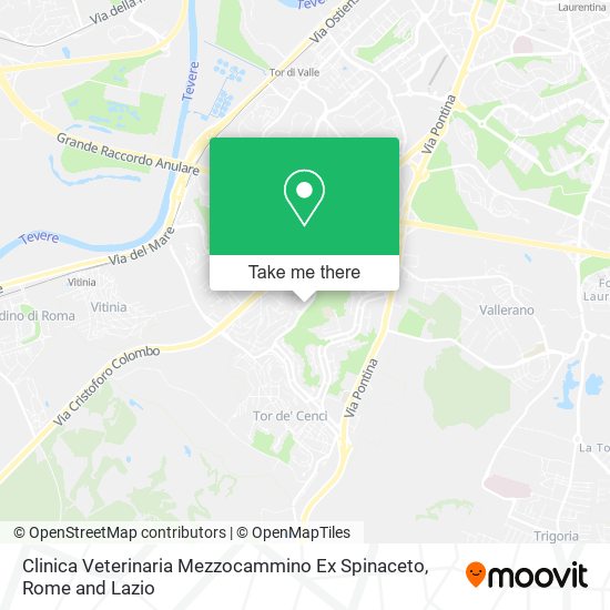 Clinica Veterinaria Mezzocammino Ex Spinaceto map