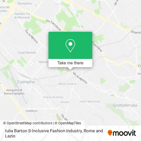 Iulia Barton S-Inclusive Fashion Industry map