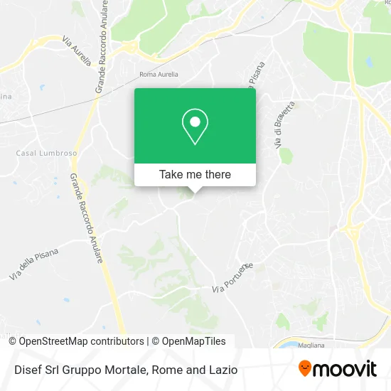 Disef Srl Mortale Group map