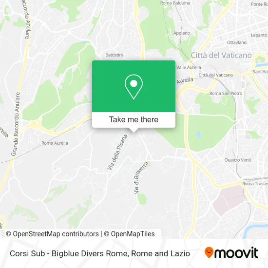 Scuba Diving Courses - Bigblue Divers Rome map