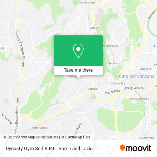 Dynasty Gym Ssd A.R.L. map