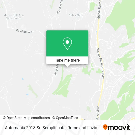 Automania 2013 Simplified Srl map