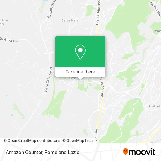 Amazon Counter map