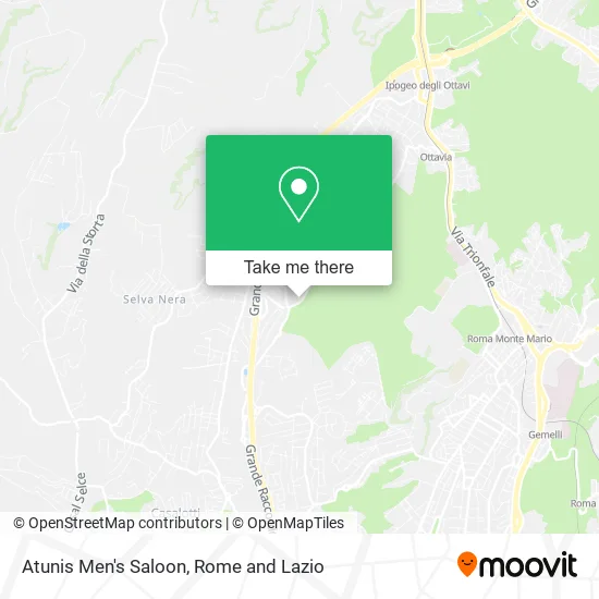 Atunis Men's Salon map