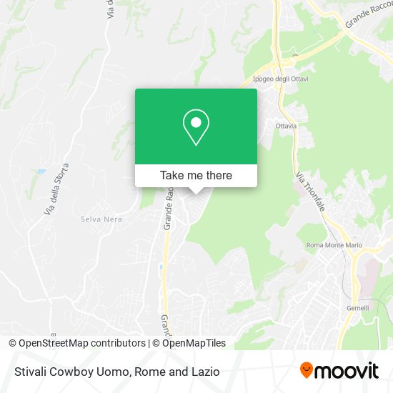 Stivali Cowboy Uomo map