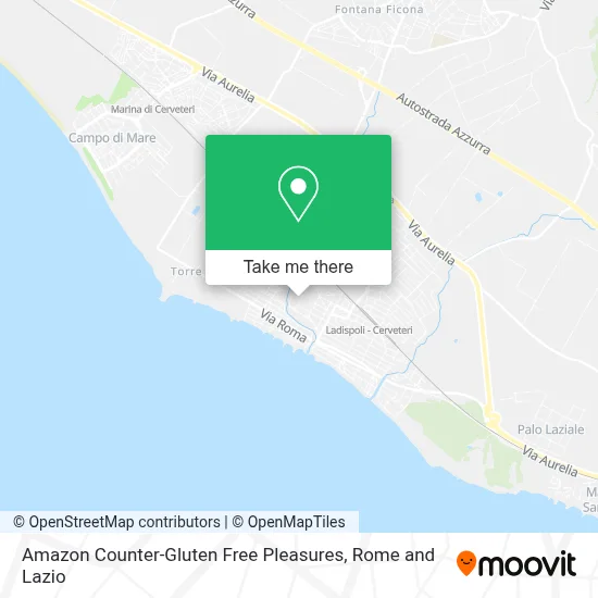 Amazon Counter-Gluten Free Pleasures map