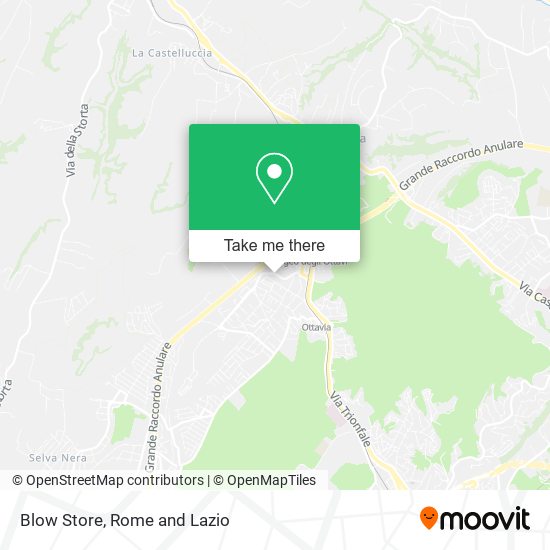 Blow Store map