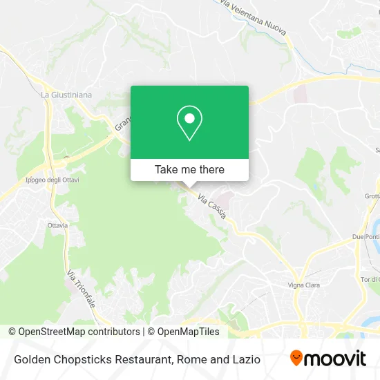 Golden Chopsticks Restaurant map