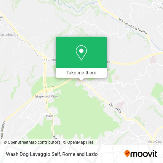 Wash Dog Lavaggio Self map