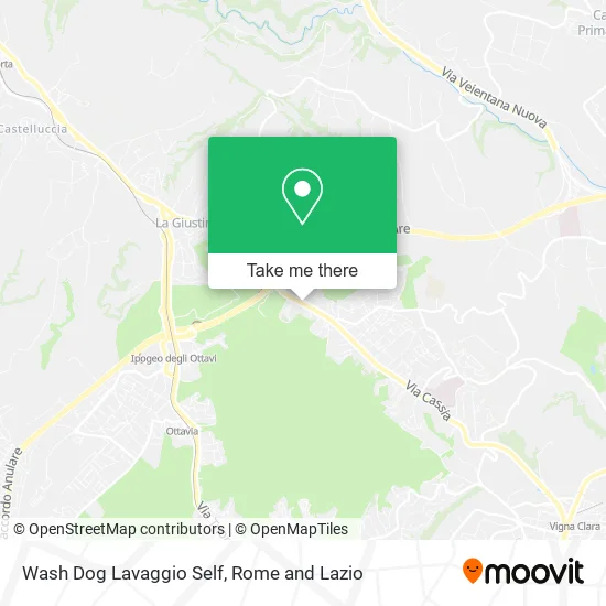 Wash Dog Self Wash map