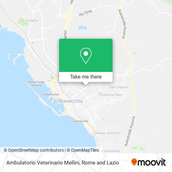 Ambulatorio Veterinario Mellini map