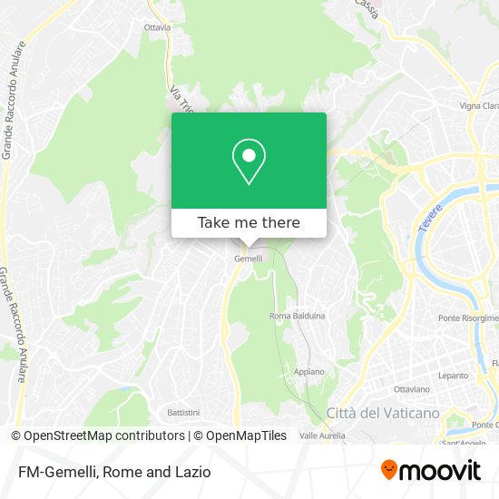 FM-Gemelli map