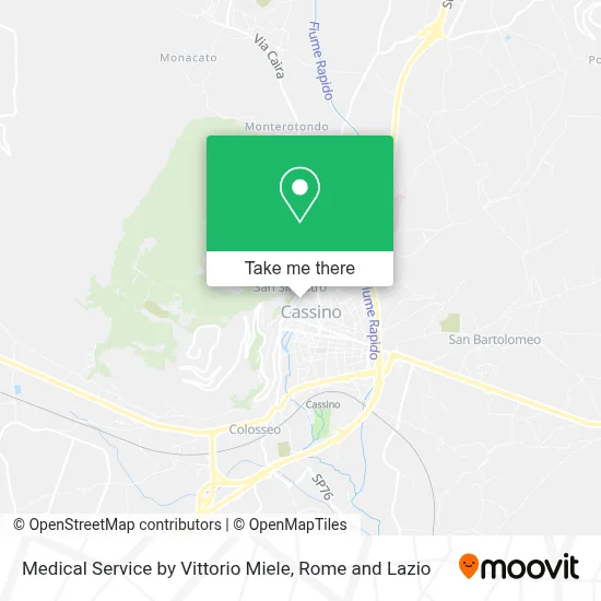 Medical Service by Vittorio Miele map