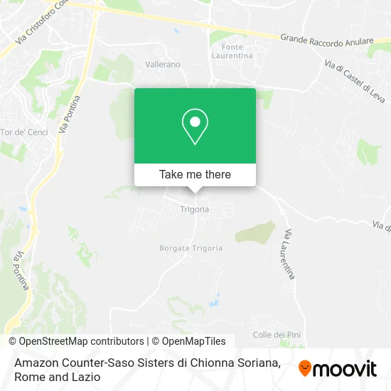 Amazon Counter-Saso Sisters of Chionna Soriana map