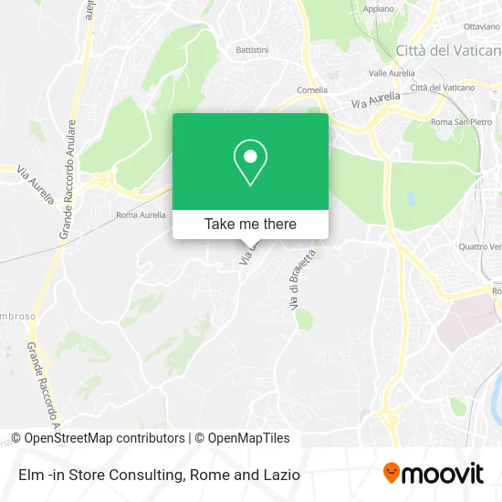 Elm -in Store Consulting map
