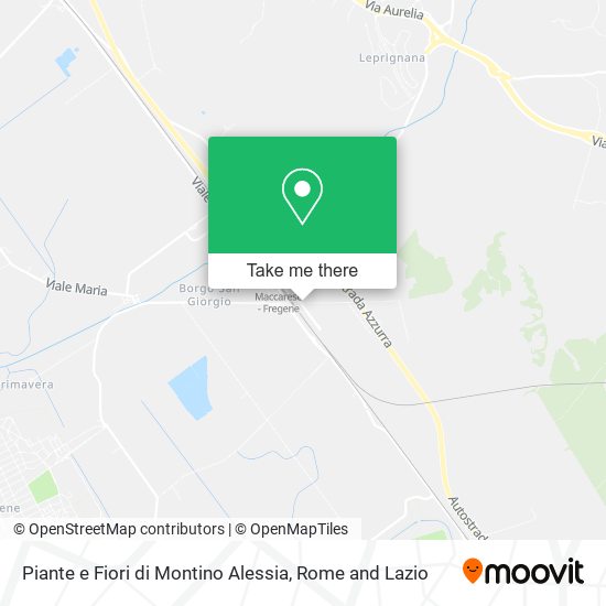 Piante e Fiori di Montino Alessia map