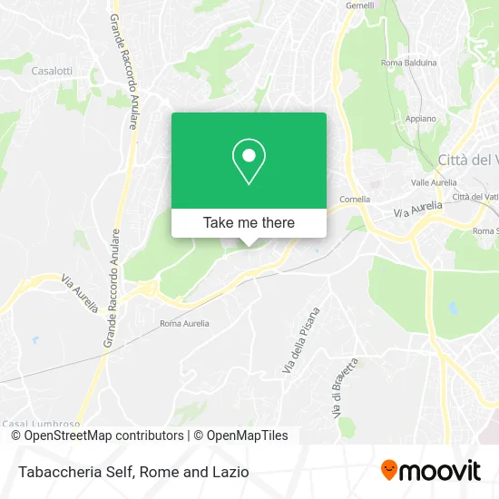 Self Tobacco Shop map