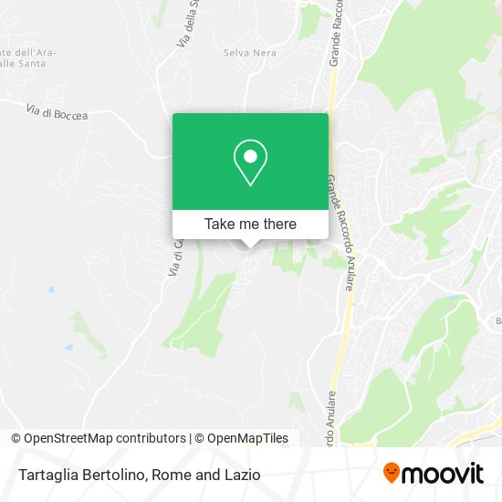 Tartaglia Bertolino map