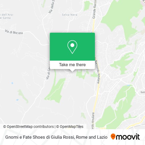 Gnomi e Fate Shoes di Giulia Rossi map