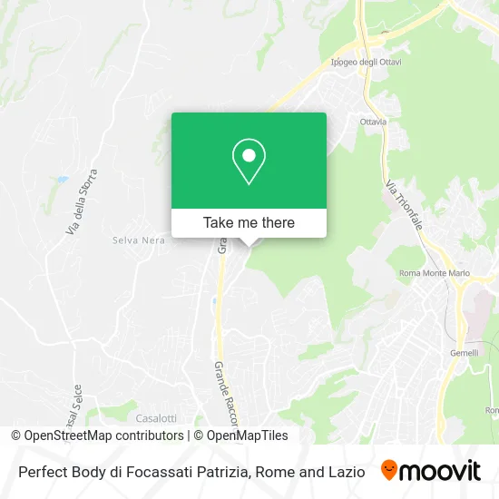 Perfect Body by Focassati Patrizia map