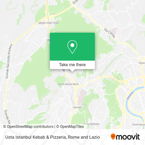 Usta Istanbul Kebab & Pizzeria map