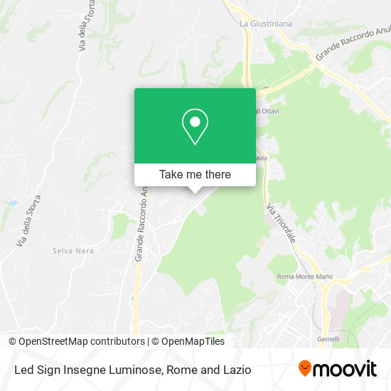 Led Sign Insegne Luminose map