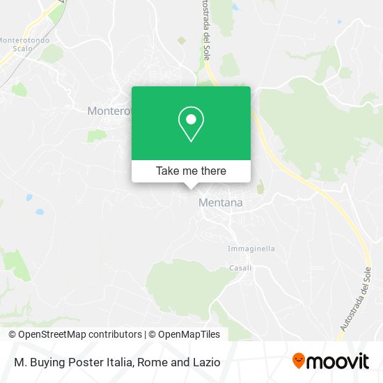 M. Buying Poster Italia map