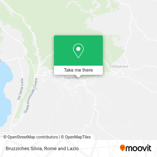 Bruzziches Silvia map