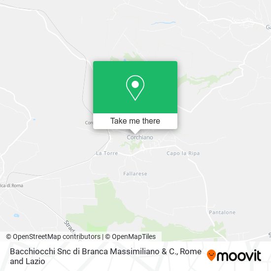 Bacchiocchi Snc di Branca Massimiliano & C. map