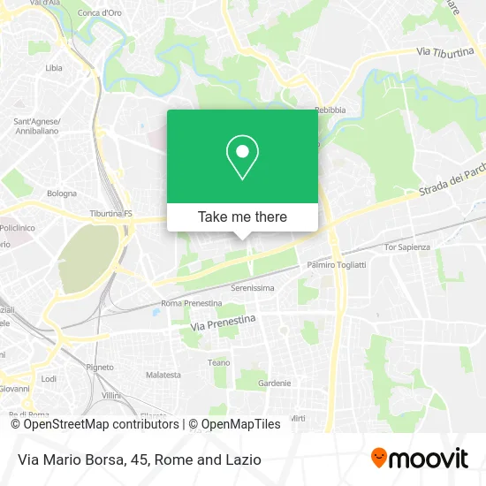 Mario Borsa Street, 45 map