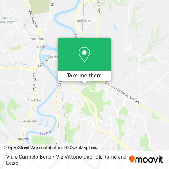 Carmelo Bene Avenue / Vittorio Caprioli Street map