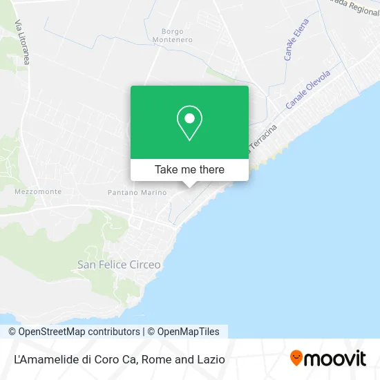 L'Amamelide di Coro Ca map